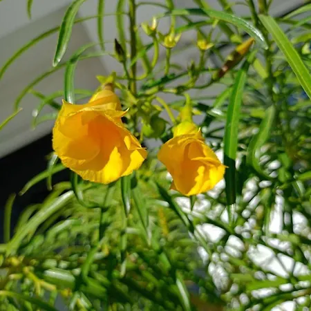 アパート Art Life *