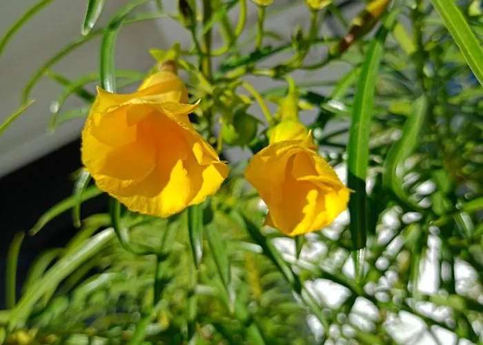 Апартаменты Art Life *